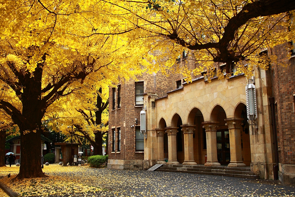 走进东京大学 认识东京大学