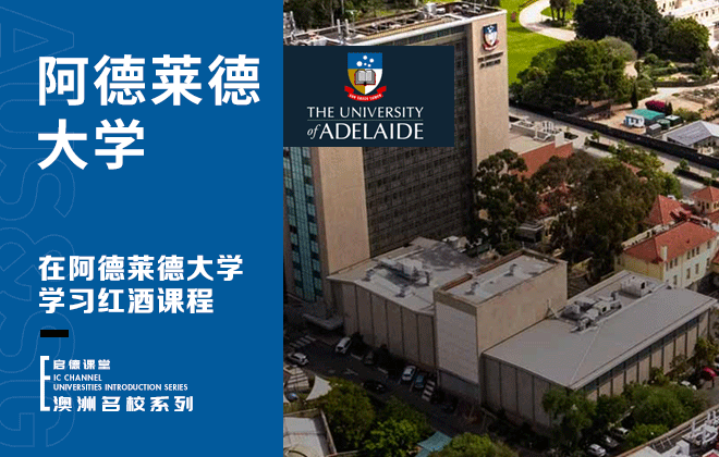 在阿德莱德大学学习红酒课程