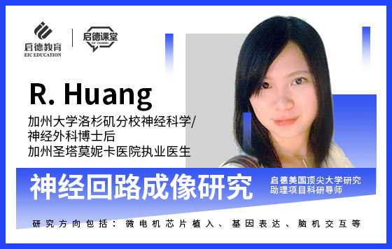 带你体验神经回路成像研究