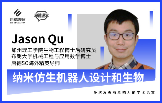 纳米仿生机器人设计和生物流体力学应用