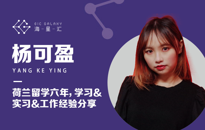 荷兰留学六年，学习&实习&工作经验分享