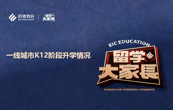 一线城市K12阶段升学情况