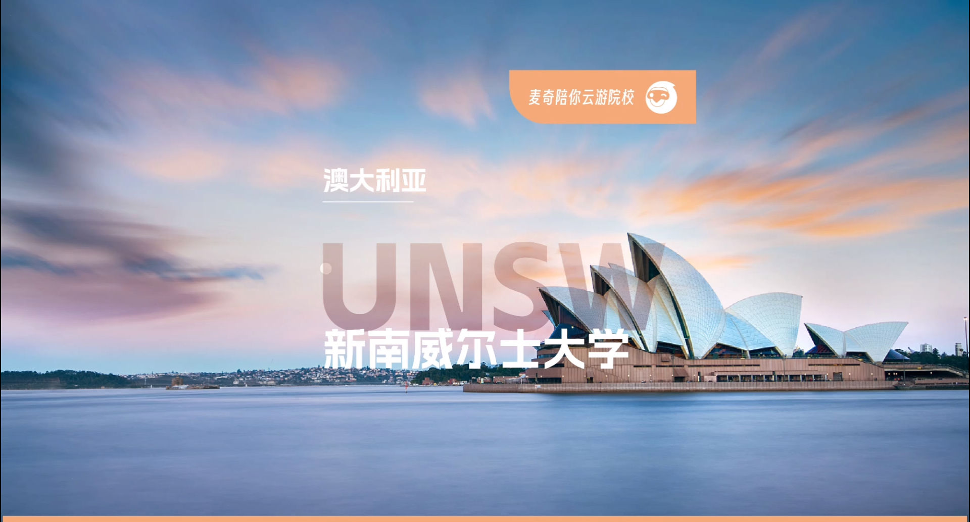 新南威尔士大学