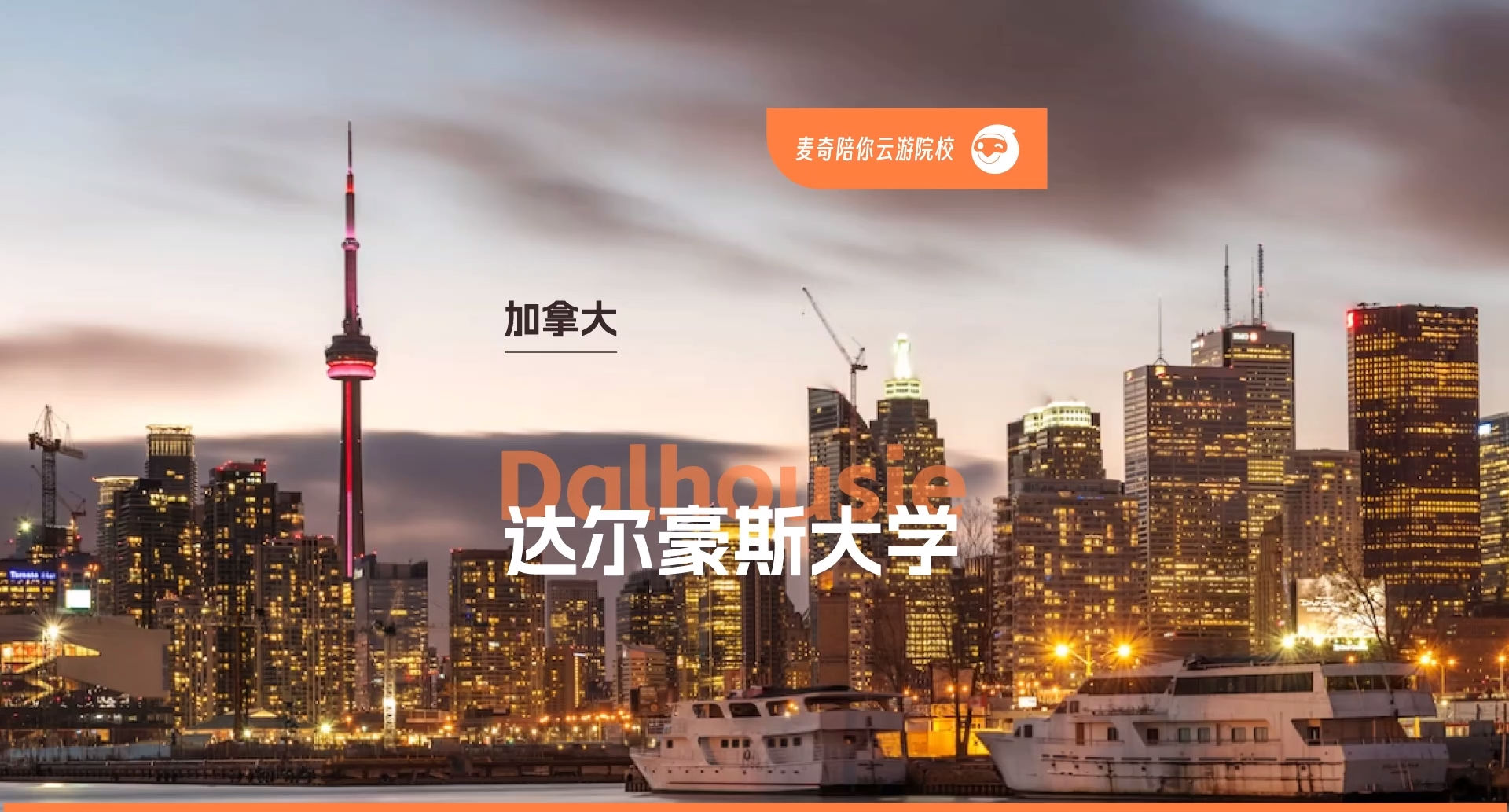 达尔豪斯大学